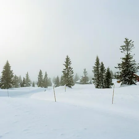 Mountain Air, Light And Spaciousness In * Sjusjøen